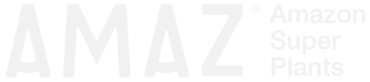 AMAZ